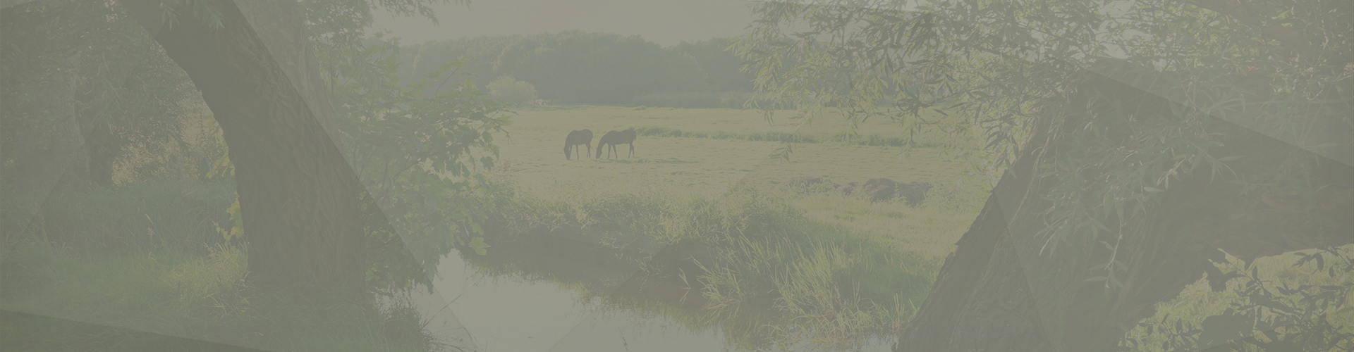 hek Overijssel