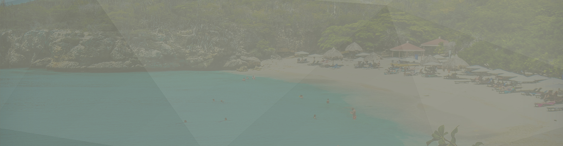 levering hekwerk caribbean